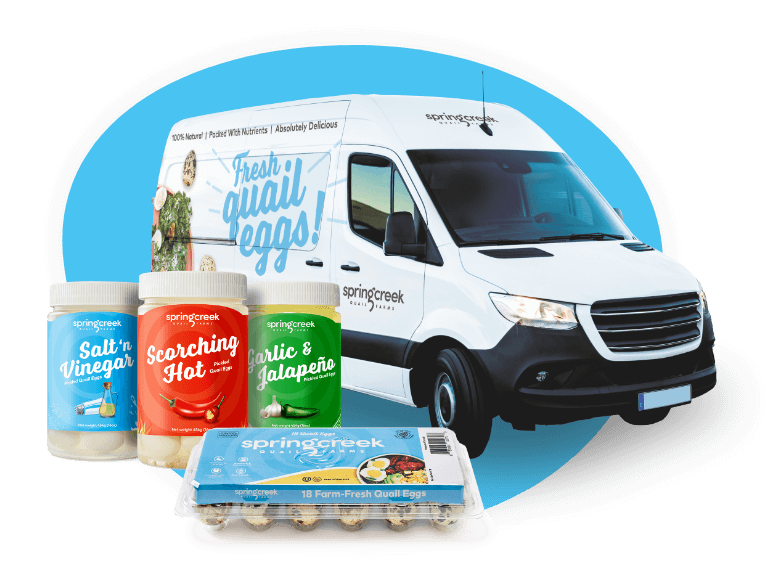 Quail eggs in carton